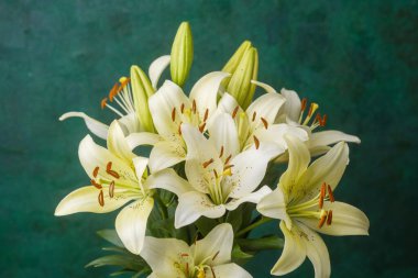 Nilüferler cam vazoda minimalist çiçek dekoru ya da editoryal stok içeriği için mükemmel.