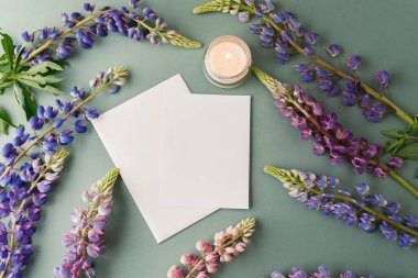 Zarflı kart ve yeşil arka planda lupin çiçekleri