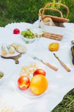 Yeşil meyve bahçesinde beyaz battaniyenin üzerinde şarap ve meyve bulunan piknik sepeti yaz yaşam tarzı ve açık hava yemeği kavramları için.