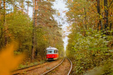 Bir tramvay, sonbahar yapraklarıyla çevrili dar bir patika boyunca yavaşça hareket eder..