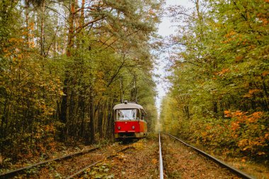 Sonbaharda yemyeşil ağaçlarla çevrili kırmızı bir tramvay raylarda gezinir..