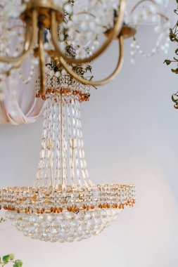 Kristaller ve altın aksanlı karmaşık avize şık bir iç mekanı aydınlatıyor..