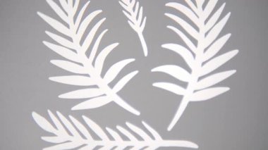 Parlak, beyaz, soyut yaprak anahatları yumuşak, gri bir duvarda süzülür ve örtüşür, sakin bir botanik tasarım oluşturur..