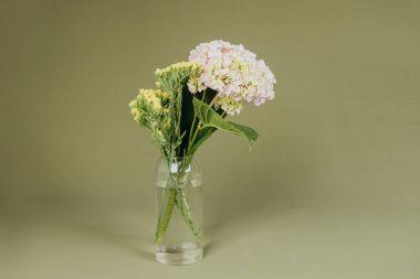 Yeşil arka planda temiz bir vazoda tek ortanca buketi 