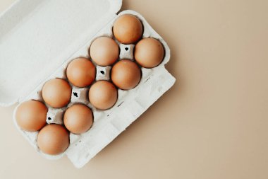 Kahverengi yumurtalar bej arka planda beyaz karton içinde düz yatıyordu