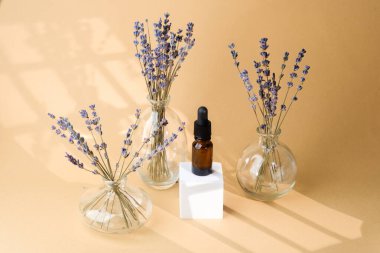 Cam vazo lavanta çiçekleri sergilenen Amber kozmetik damlası şişesi.