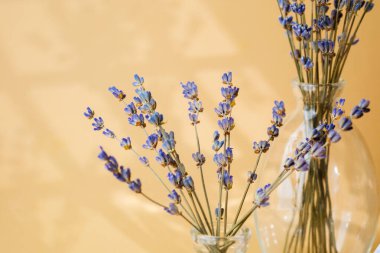 Şeffaf cam vazoda sıralanmış lavanta çiçekleri.