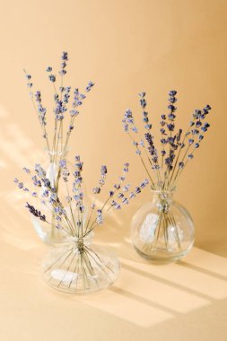 Şeffaf cam vazolarda sıralanmış lavanta çiçekleri.
