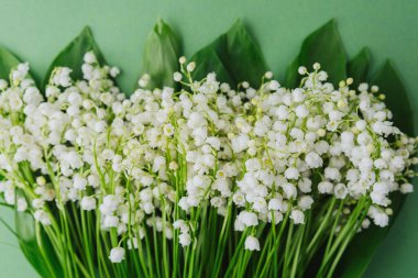 Yeşil arkaplanı olan bir demet nilüfer çiçeği.