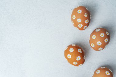 El boyaması Paskalya yumurtaları ve hafif arka planda papatyalar. Paskalya arka planı. 