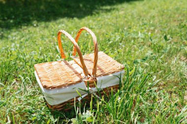 Kırsal yaşam tarzı, durgunluk ve yaz sadeliği kavramları için yeşil çimlerin üzerinde tek başına duran hasır piknik sepeti.
