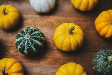 Kırsal ahşap yüzeyde çeşitli küçük balkabakları, üst görünüm, canlı sonbahar renkleri