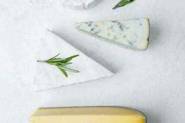 Basit bir arka planda taze otlarla zarif bir şekilde sıralanmış zanaatkar peynirleri..