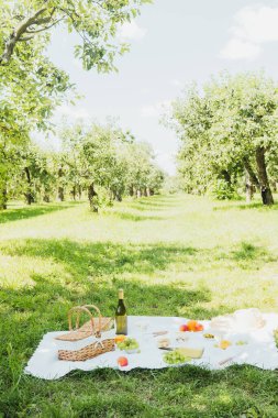 Bahçedeki çayırda piknik, yaz battaniyesinde yemek ve şarapla rahatlama, yaşam tarzı, doğa ve boş zaman kavramları için.
