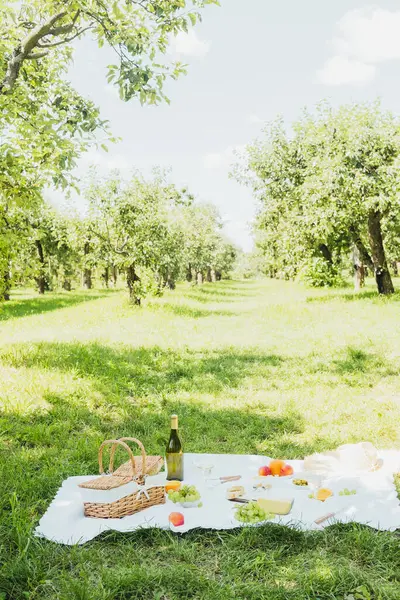 Bahçedeki çayırda piknik, yaz battaniyesinde yemek ve şarapla rahatlama, yaşam tarzı, doğa ve boş zaman kavramları için.