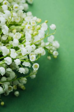 Vadi çiçeklerinin beyaz zambaklarına yaklaş makro arka plan