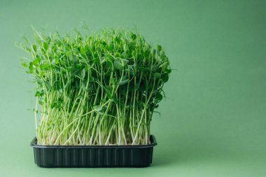 Yeşil zemin üzerinde siyah plastik tepside bezelye mikroçerezleri