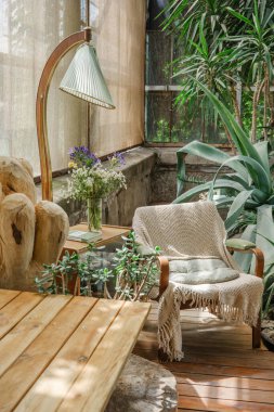 İç orman, boho dekor ve doğa konseptleri için agave ve draacaena ile sera salonu