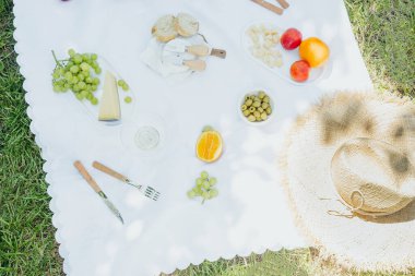 Rahatlama, yaz ve sağlık kavramları için ağaçların altında meyveler, şarap ve hasır şapkalı piknik battaniyesi.