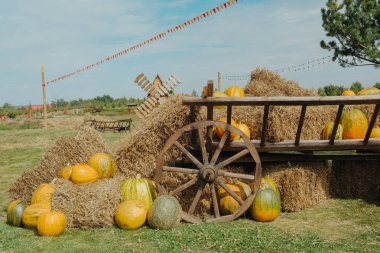 Sonbahar hasat gösterisi, balkabakları saman balyaları, eski el arabası ve ahşap yel değirmeni.