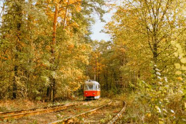 Klasik bir tramvay, ağaçlarla çevrili renkli bir sonbahar ormanında nazikçe hareket eder..