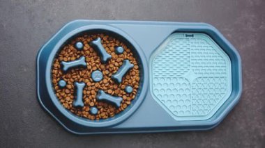 Koyu arkaplanda mavi köpek kasesi ve desenli yalama minder yüzeyi.