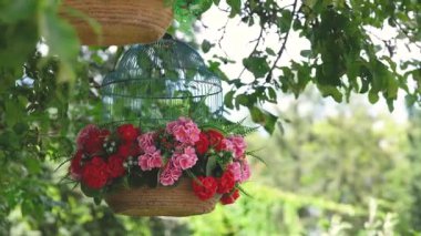 Bahçede yeşil yapraklı kırmızı ve pembe karanfilli bir sepet.