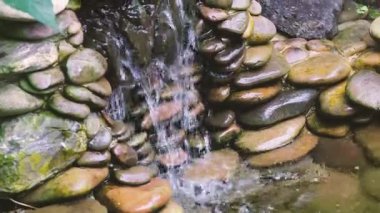 Islak nehir taşları ve yosunlu kayaların üzerinden akan berrak suları kapatın.