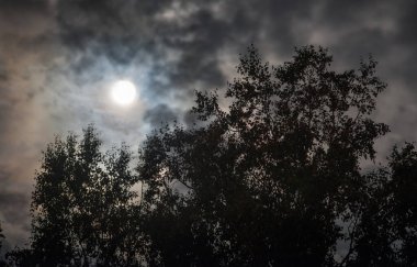 Mysterious night sky with full moon behind the clouds.
