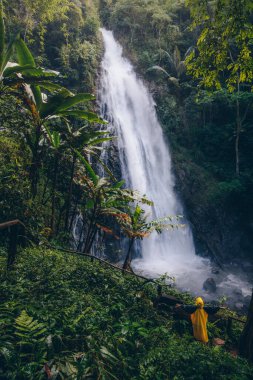Khun Korn waterfall an iconic natural attraction place and tallest waterfalls (70 metres) in Chiang Rai province of Thailand.