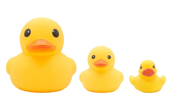 Set of Yellow rubber ducks on isolated white background.