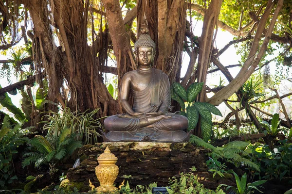Statua Buddha Seduta Sotto Grande Albero Wat Rong Khun Tempio — Foto Stock