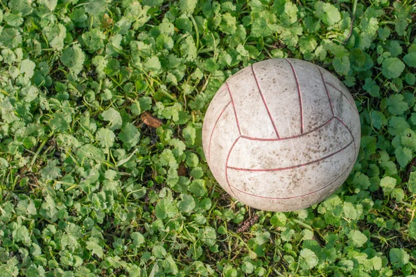Voleibol Sujo Chão Grama Jardim — Fotografia de Stock