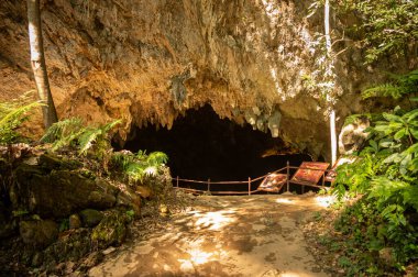 Thamluang mağarasına girmeden önce, Tayland ve Myanmar sınırındaki Doi Nang Non 'un altındaki karistik mağara kompleksi....