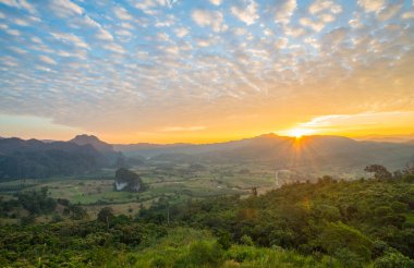 Phayao, Tayland 'da Phu Lung ka orman parkının manzarası..