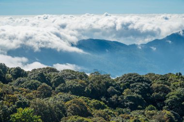 Doi Inthanon 'daki turistik yerlerden biri olan Kio Mae Pan' ın tepesindeki güzel doğa izleri Tayland 'ın Chiang Mai eyaletindeki en yüksek dağdır..