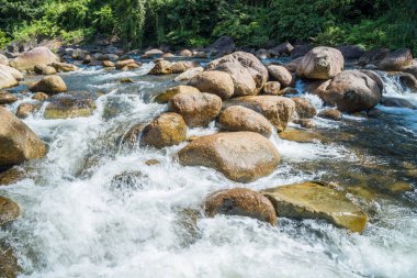 Tayland 'ın Nakhon Si Thammarat ilindeki Laan Saka ilçesindeki Kiriwong köyünün güzel doğası.