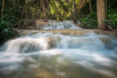 Pu Kaeng şelalesi Tayland 'ın Chiang Rai eyaletindeki en güzel kireçtaşı şelalesidir. Kuzey Tayland 'ın kırsal kesimindeki doğanın huzur manzarası.