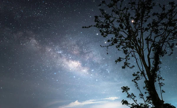 Галактика Млечный Путь Над Звездным Ночным Небом — стоковое фото