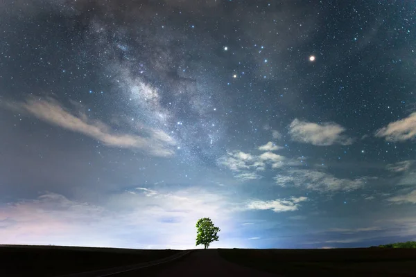 Одинокое Дерево Звездным Ночным Небом Молочный Путь — стоковое фото