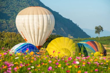 Tayland 'ın Chiang Rai bölgesindeki Singha parkında balon festivali..
