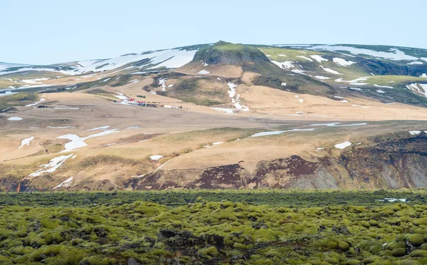 Вражаючий Ландшафт Ель Дандраунського Поля Моху Ісландії Вражаюче Лавове Поле — стокове фото