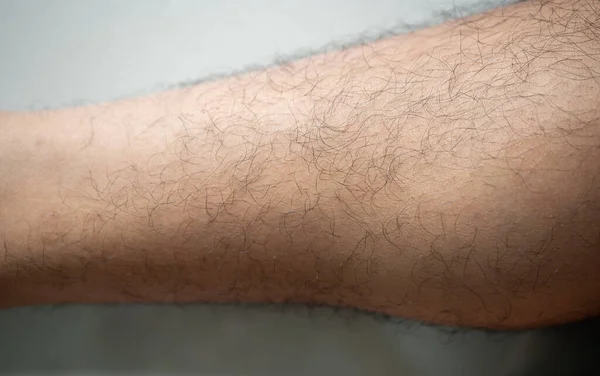 Cropped shot view of men's leg with messy shin hair grows. Leg hair is the hair that grows on the human legs and usually appears after the onset of puberty.
