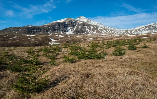 Vacker Natur Berget Stoovarfjorour Stad Östra Regionen Island — Stockfoto