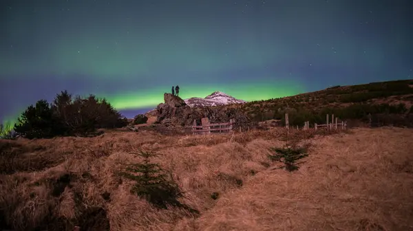 Aurora Borealis Στην Έναστρη Νύχτα Της Ισλανδίας Κάθετη Βολή Focus — Φωτογραφία Αρχείου