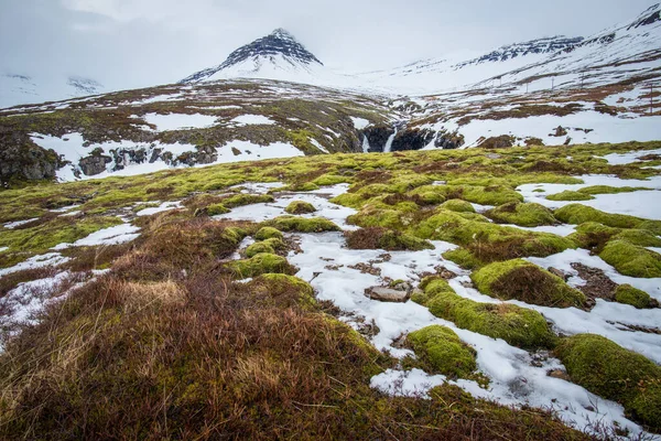 Gyönyörű Táj Havas Hegy Stodvarfjordur Kelet Izland Borítja Köd Téli — Stock Fotó