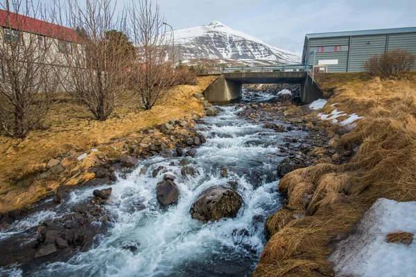 Rivière Qui Coule Des Montagnes Stodvarfjordur Ville Est Islande — Photo