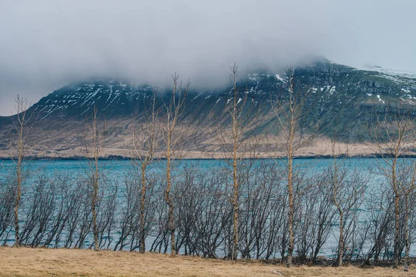 Пейзаж Города Стодварфьордур Восточном Фьорде Восточной Исландии Пасмурный День — стоковое фото