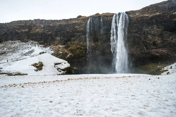 Der Seljalandsfoss Wasserfall Island Mit Fallhöhe Ist Einer Der Berühmtesten — Stockfoto