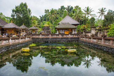 Bali, Endonezya: 14 Temmuz 2018: Tirta Empul tapınağındaki Koi balık havuzu. Şişko koi gölette tembelce yüzüyor. Turistlerden gelecek yemeği bekliyorlar..